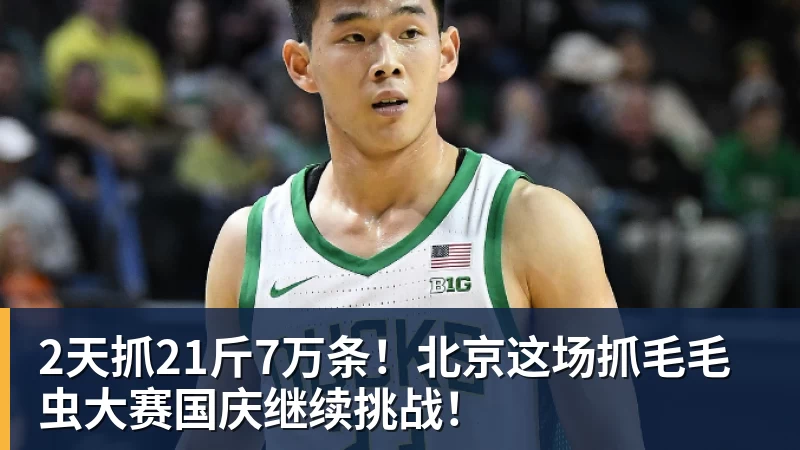 2天抓21斤7万条!北京这场抓毛毛虫大赛国庆继续挑战!